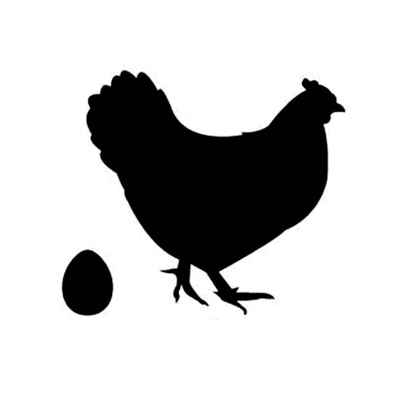 Chicken Laying Egg Decal