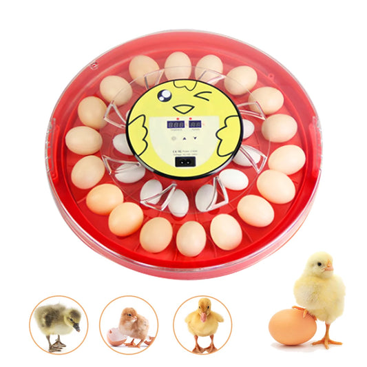 30 Egg Incubator