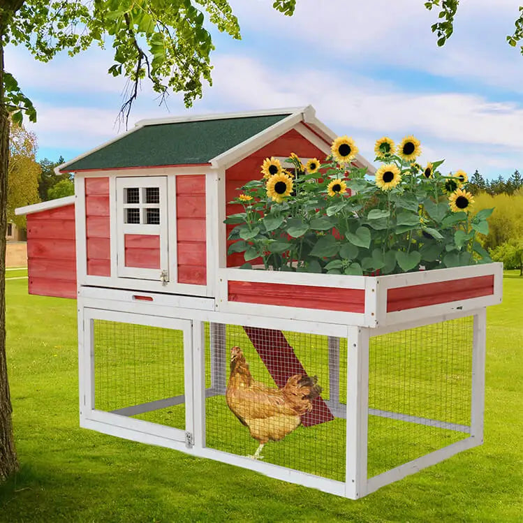 Small Chicken Coop with Garden Bed