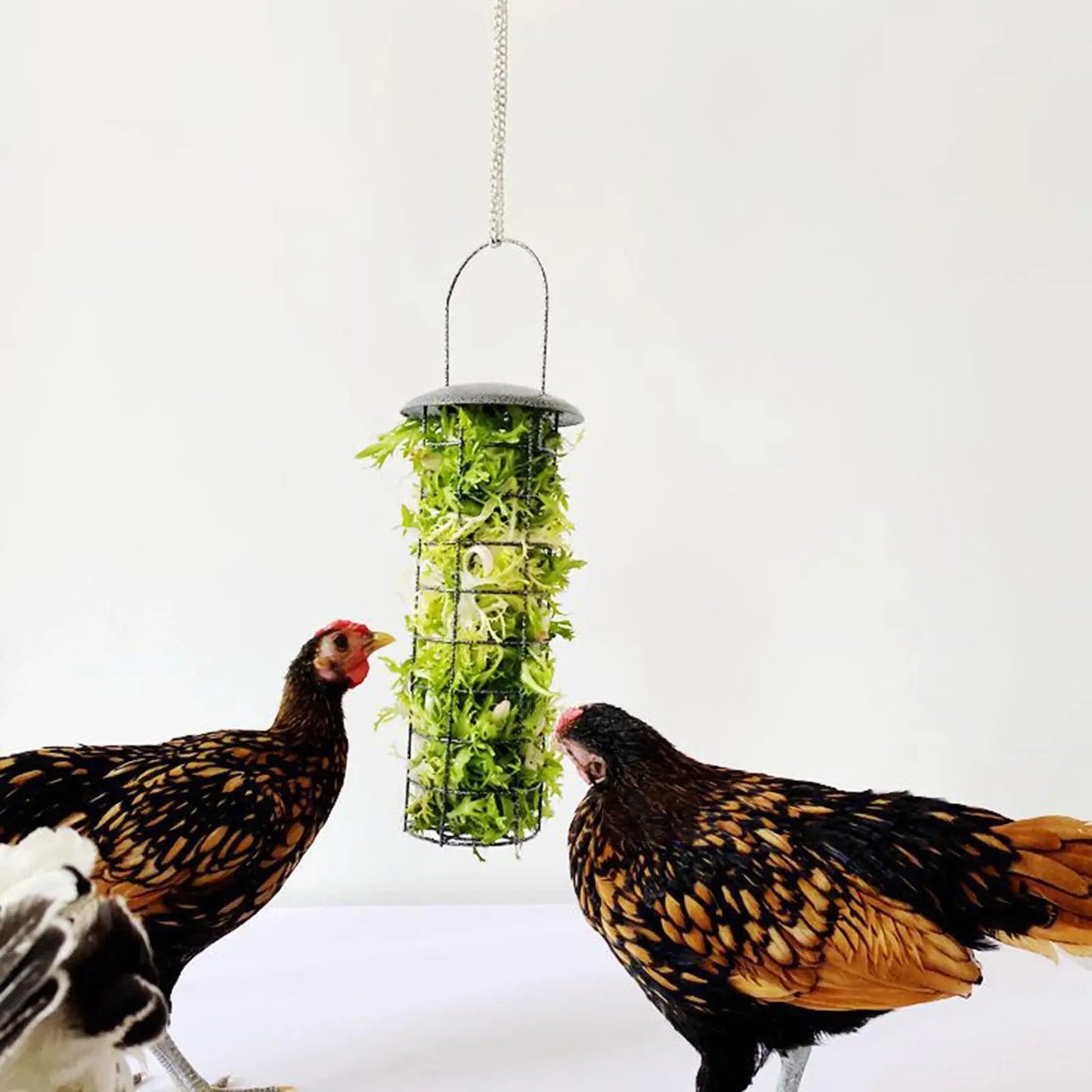 Chicken Feeder Basket