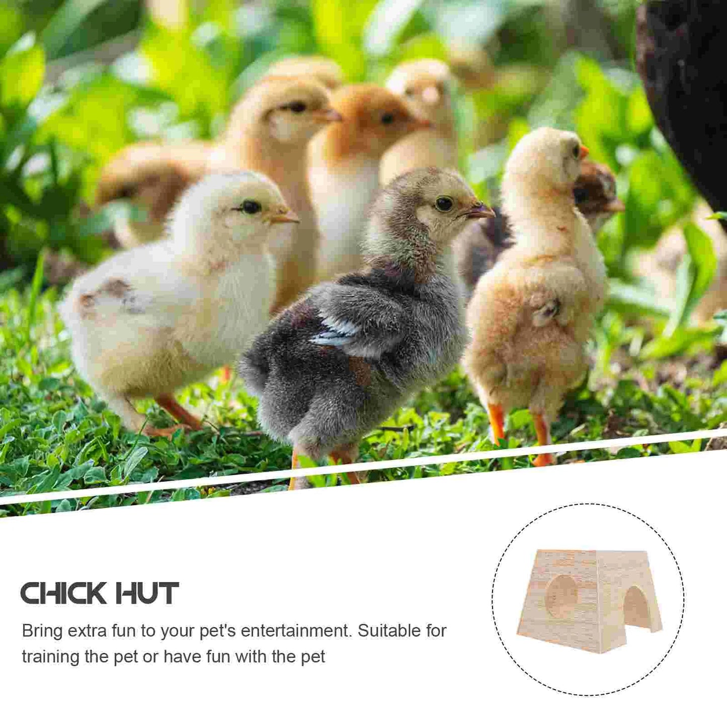 Chick Hut