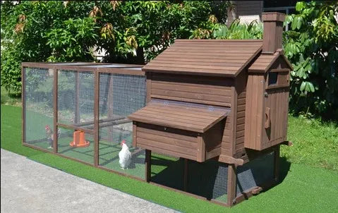 Large Chicken Coop & Run