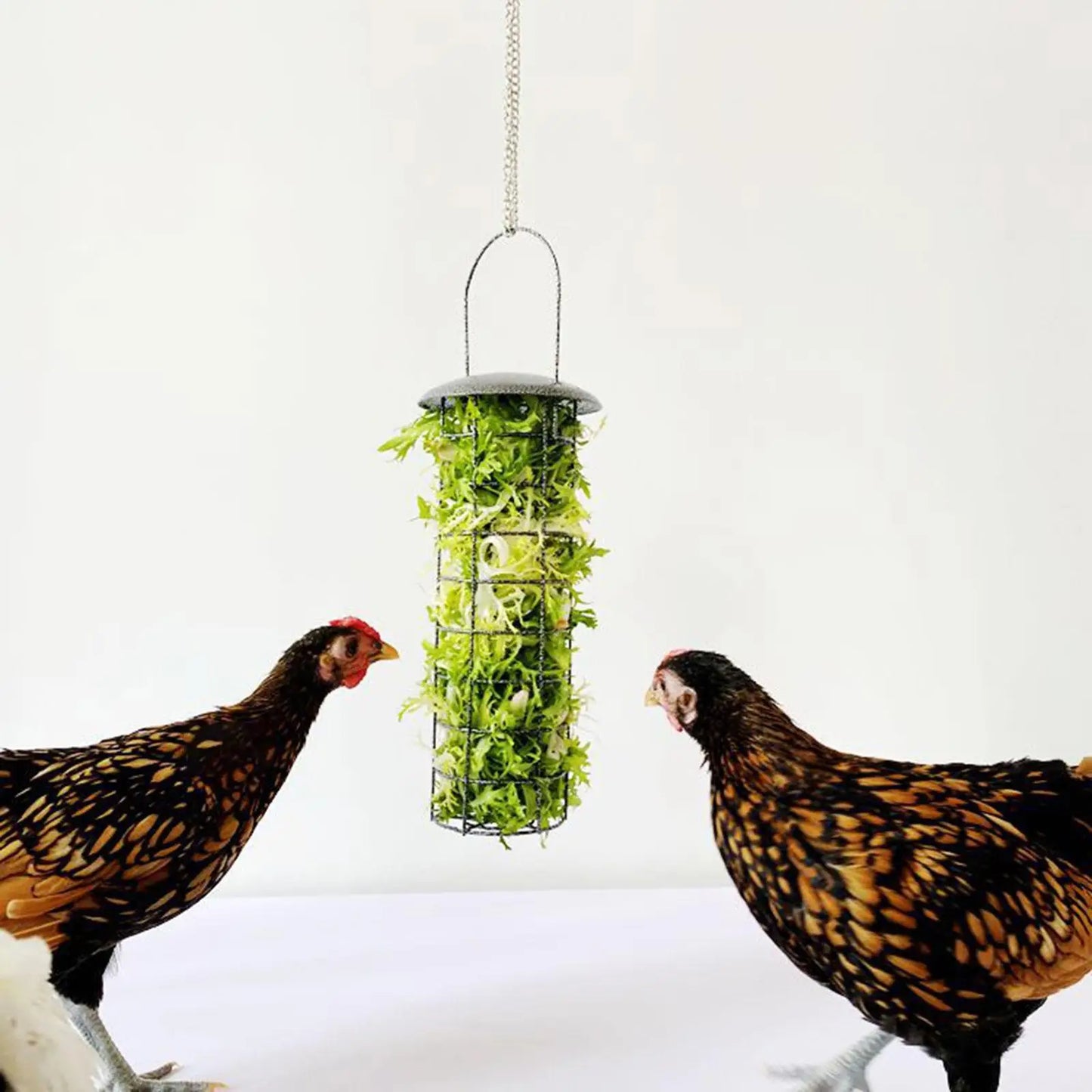 Chicken Feeder Basket